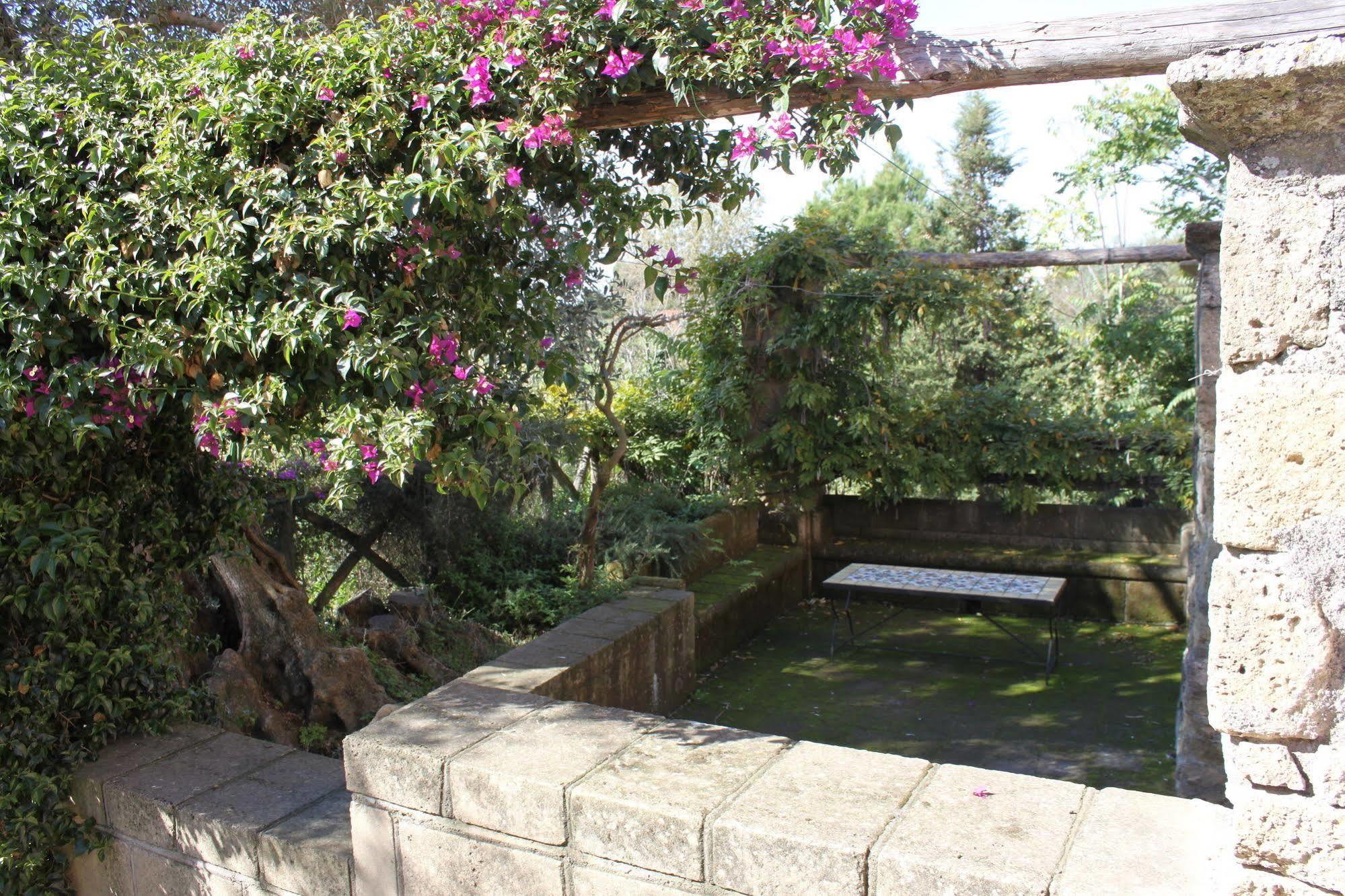 Flegrea House Apart otel Pozzuoli Dış mekan fotoğraf